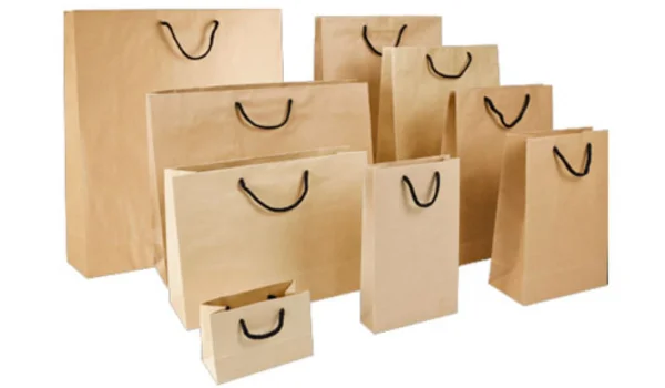 Paper Bag Manufacturers in India